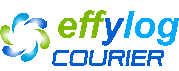 Effylog Courier es la solución para los envíos del ecommerce